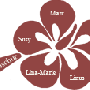 logo.gif